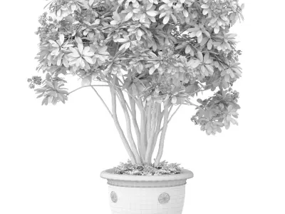 Decorative flowering garden tree with white flowers in flowerpot 3D model