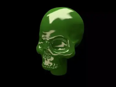 skull Free 3D print model
