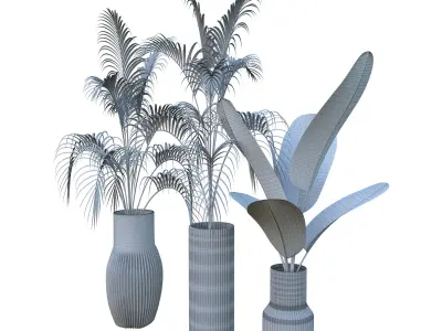 Planter plant in vase 3D model
