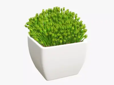 Plant artificial 06 3D model