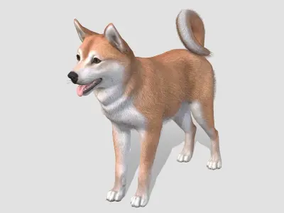 Dog - Shiba Inu Low-poly 3D model