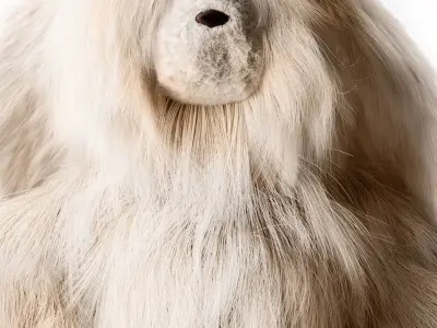 Baby Soft Cuddly Teddy Bear Toys Plush Toy  for Kid room 3D model