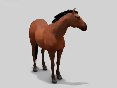 Horse 3D Model Low-poly 3D model