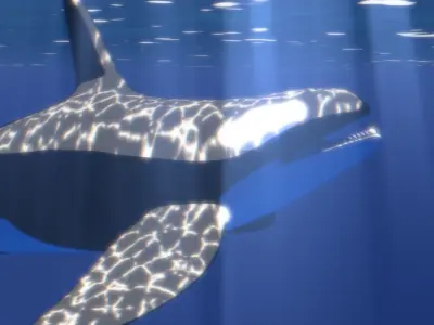 Orca Whale Low-poly 3D model