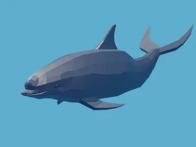 Animated low-poly dolphin for you Low-poly 3D model