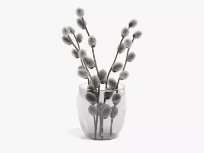 -Willow Catkins in Vase- 3D model