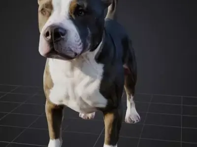 American pitbull terrier 3D model