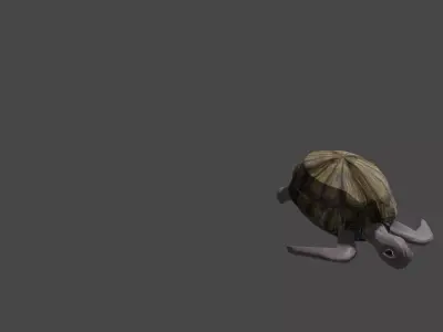 Sea turtle  Low-poly 3D model