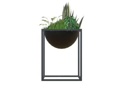 Decorative plants Low-poly 3D model