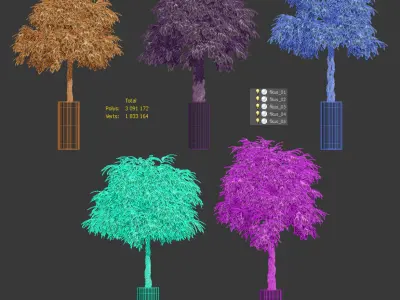 The ficus is large - 5 models 3D model