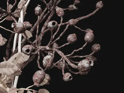 bouquet Dry flowers 02 3D model