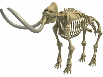 Mammoth Skeleton 3D model