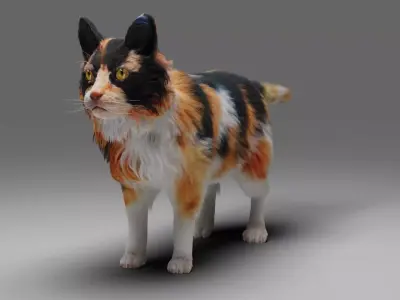 Fur Calico Cat V04 No Rigged Low-poly 3D model