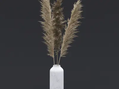 Pampas Grass I 3D model