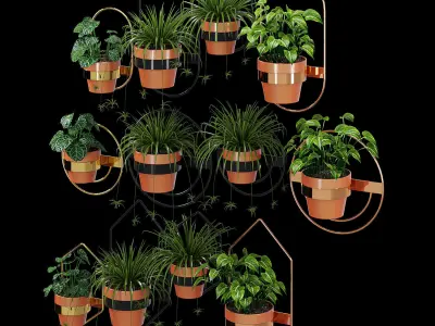 Wall Planters 3D model