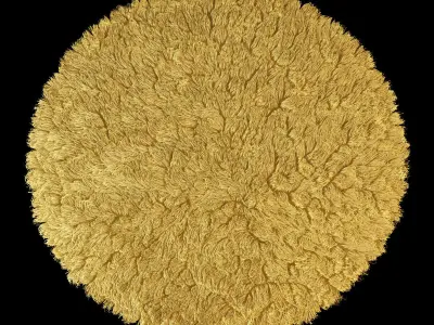 Carpet seven color 3D model