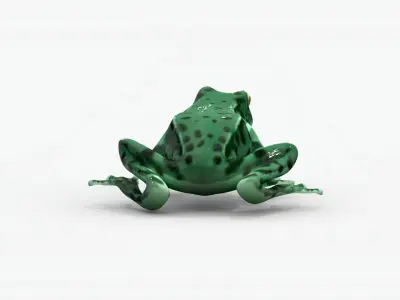 Low poly frog Low-poly 3D model