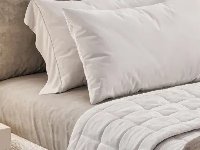 Panel Modern Bed with Headboard Included 3D model