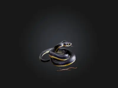 Snake Low-poly 3D model purchase