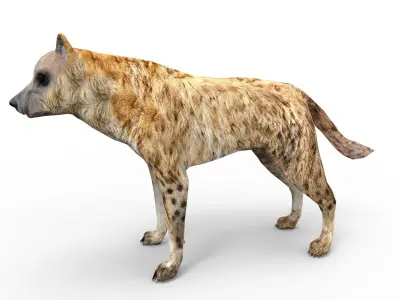 3D hyena rigged animated  game ready Low-poly 3D model