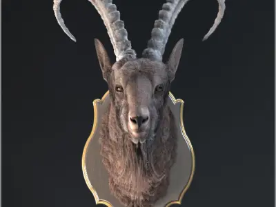 Goat trophy  3D model