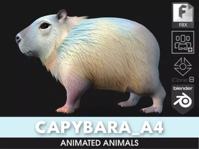 Capybara-A4 3D model