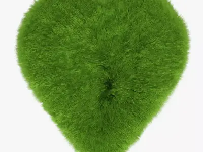 Green Heart rug 3D model
