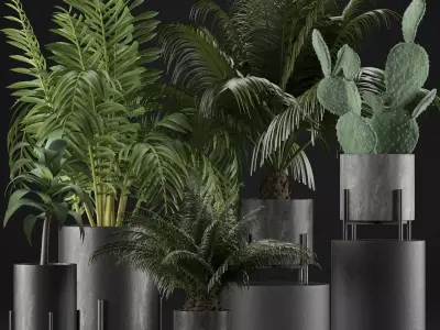 Plants Collection 28 3D model