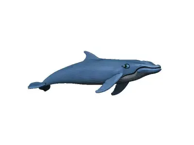 Whale Low-poly 3D model buy