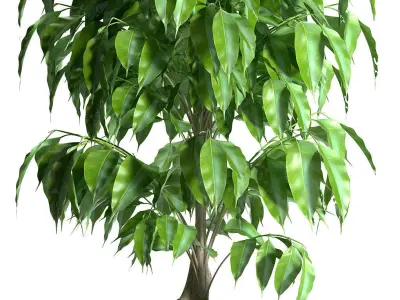 plant 128 3D model