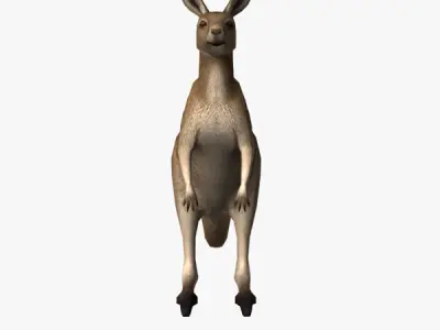 Kangaroo Low-poly 3D model