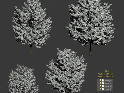 Maple trees - Set of 4 models 3D model