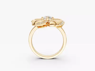 zjk r015 bouchra ring 3D print model