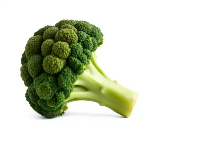 Detailed Green Broccoli Model Pack Low-poly 3D model