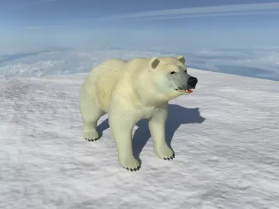 Polar Bear 3D Model with Animations  Game Ready Low-poly 3D model