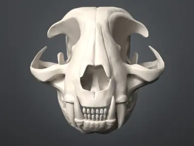 Cat Skull 3D model