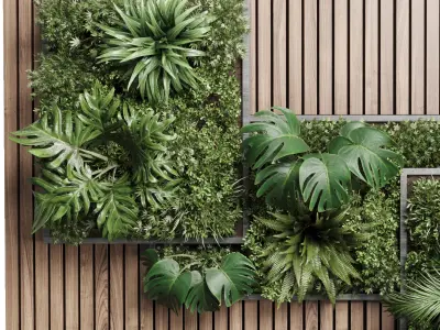 plants set partition in wooden frame Vertical graden 3D model