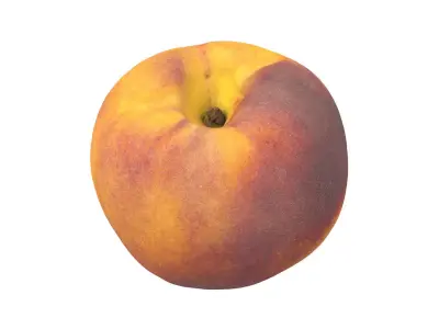 Photorealistic Peach 3D Scan 3D model