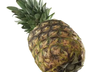 Pineapple 3D model