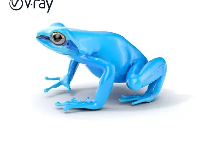 Blue Tree Frog D Model Pack Low-poly 3D model