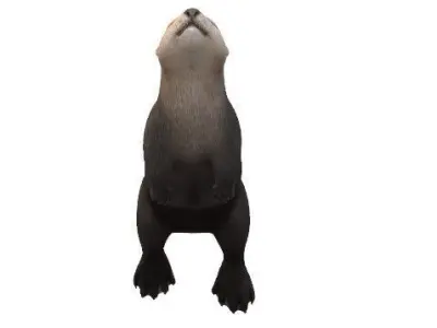 Playful Sea Otter Low Poly VR and AR Ready 3D Model Low-poly 3D model