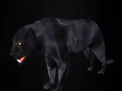 Panther 3D model Low-poly 3d model 3D model