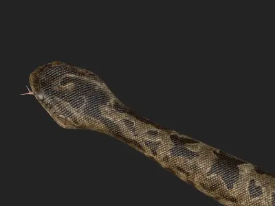 Rattlesnake snake Low-poly 3D model