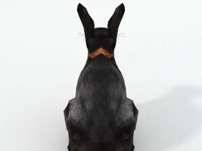 Tan Rabbit Low-poly 3D model