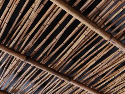 Branch bamboo long low n4 3D model