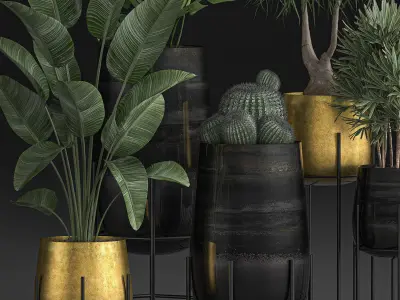 Decorative plants in Luxury Gold Pots for the interior 545 3D model