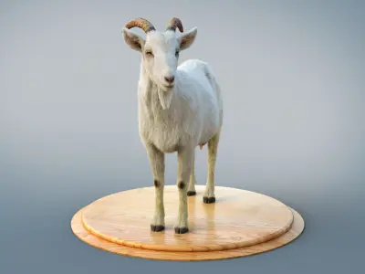 White Goat RIG Xgen Core 3D model
