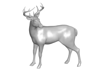 deer - 3D model order
