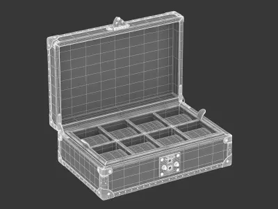 Luxury Vintage Watch Box Worn 3D model