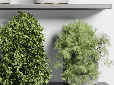 indoor outdoor plant vase concrete plant pot on shelves 3D model